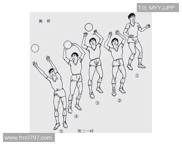 排球新手攻略：灵活性入门指南_1